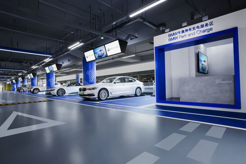 寶馬攜手國網電動汽車公司，深化技術開發戰略合作